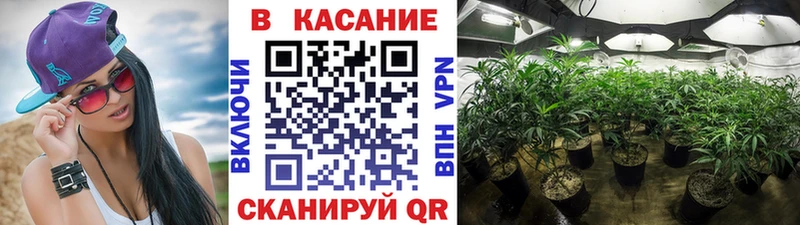 Что такое Магнитогорск Марихуана  Кокаин  Альфа ПВП  Гашиш 