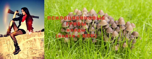 стафф Володарск