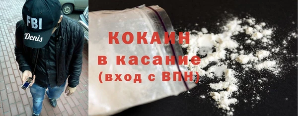 индика Волосово