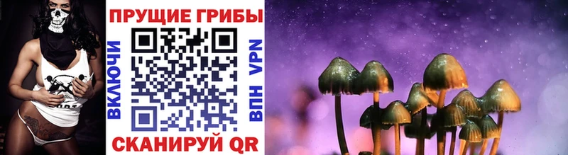 Галлюциногенные грибы Cubensis Магнитогорск